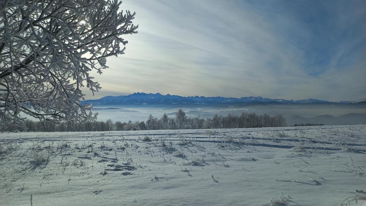 U Halinki Daire Czorsztyn Dış mekan fotoğraf