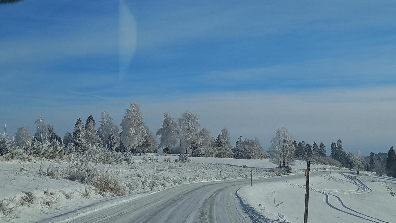 U Halinki Daire Czorsztyn Dış mekan fotoğraf